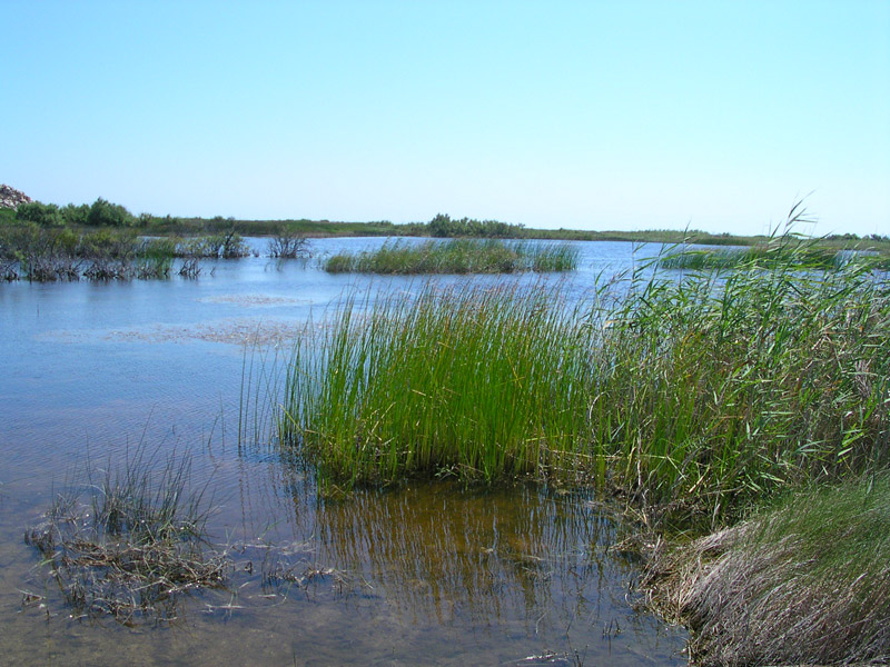 Laghi.......della PUGLIA